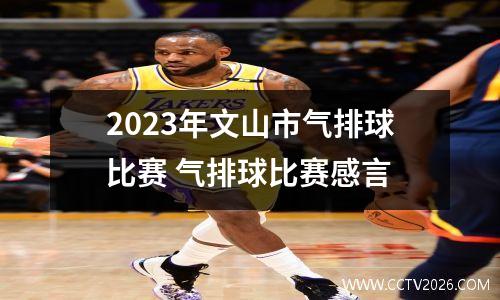 2023年文山市气排球比赛 气排球比赛感言
