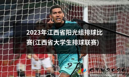 2023年江西省阳光组排球比赛(江西省大学生排球联赛)
