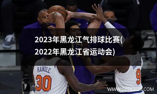 2023年黑龙江气排球比赛(2022年黑龙江省运动会)