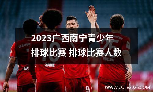 2023广西南宁青少年排球比赛 排球比赛人数