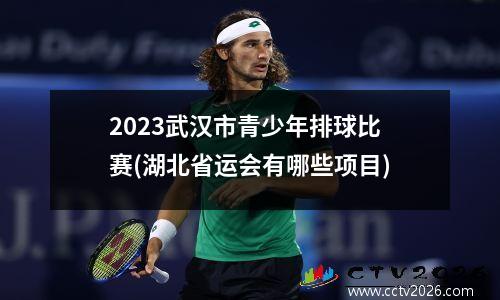2023武汉市青少年排球比赛(湖北省运会有哪些项目)