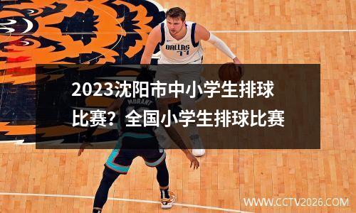 2023沈阳市中小学生排球比赛？全国小学生排球比赛
