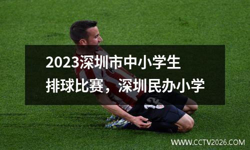 2023深圳市中小学生排球比赛，深圳民办小学