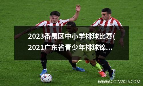 2023番禺区中小学排球比赛(2021广东省青少年排球锦标赛)