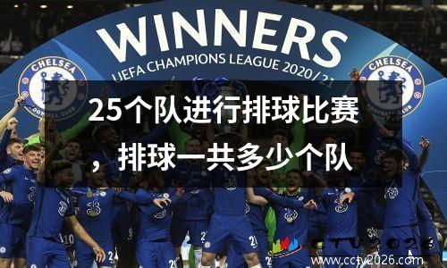 25个队进行排球比赛，排球一共多少个队