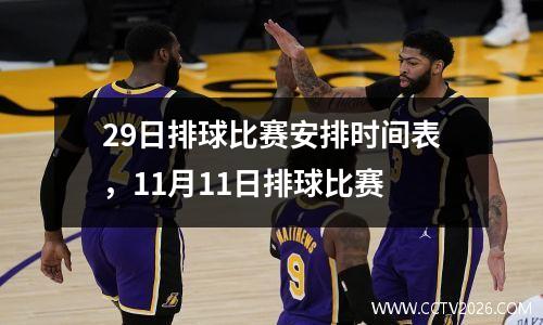 29日排球比赛安排时间表，11月11日排球比赛