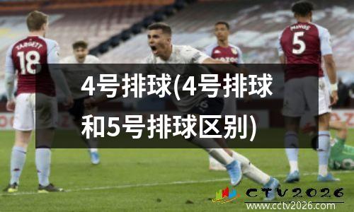 4号排球(4号排球和5号排球区别)