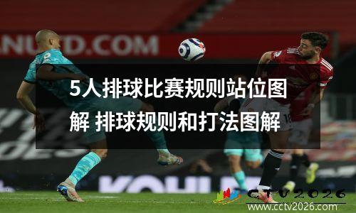 5人排球比赛规则站位图解 排球规则和打法图解