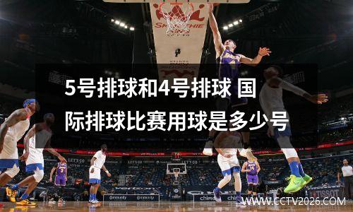 5号排球和4号排球 国际排球比赛用球是多少号
