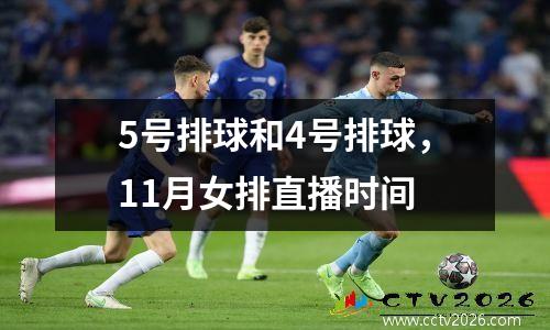 5号排球和4号排球，11月女排直播时间