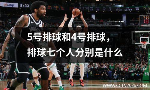 5号排球和4号排球，排球七个人分别是什么