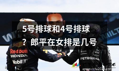 5号排球和4号排球？郎平在女排是几号
