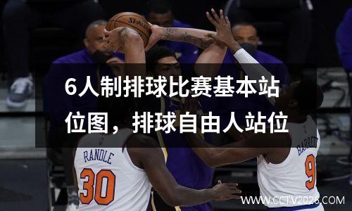 6人制排球比赛基本站位图，排球自由人站位