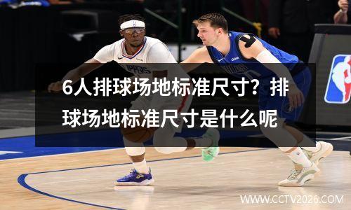 6人排球场地标准尺寸？排球场地标准尺寸是什么呢