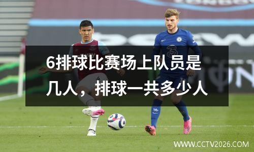 6排球比赛场上队员是几人，排球一共多少人