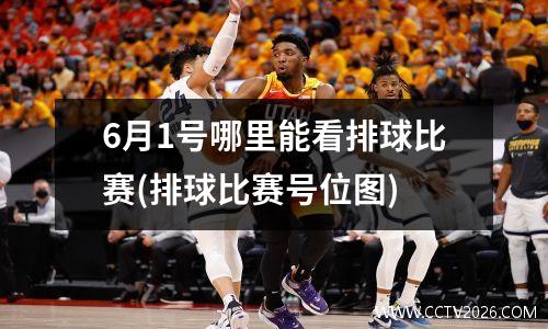 6月1号哪里能看排球比赛(排球比赛号位图)