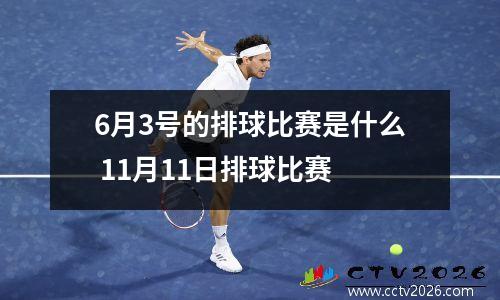 6月3号的排球比赛是什么 11月11日排球比赛