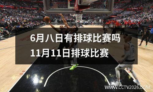 6月八日有排球比赛吗 11月11日排球比赛