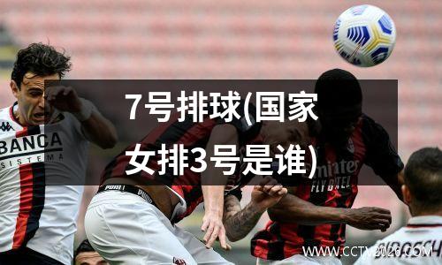 7号排球(国家女排3号是谁)