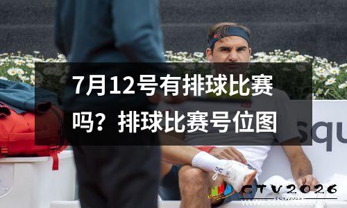 7月12号有排球比赛吗？排球比赛号位图