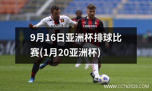 9月16日亚洲杯排球比赛(1月20亚洲杯)