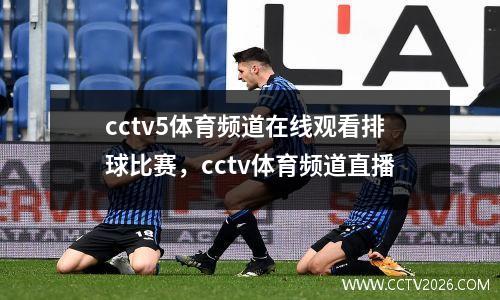 cctv5体育频道在线观看排球比赛，cctv体育频道直播