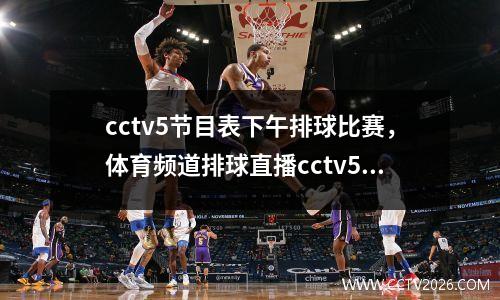 cctv5节目表下午排球比赛，体育频道排球直播cctv5+