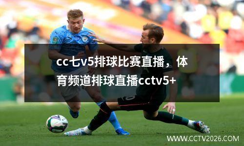 cc七v5排球比赛直播，体育频道排球直播cctv5+
