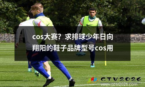 cos大赛？求排球少年日向翔阳的鞋子品牌型号cos用