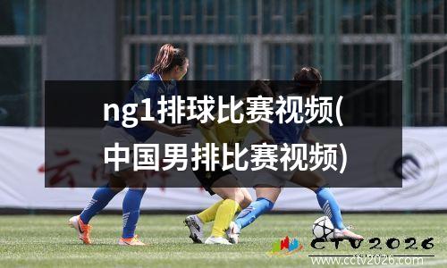 ng1排球比赛视频(中国男排比赛视频)