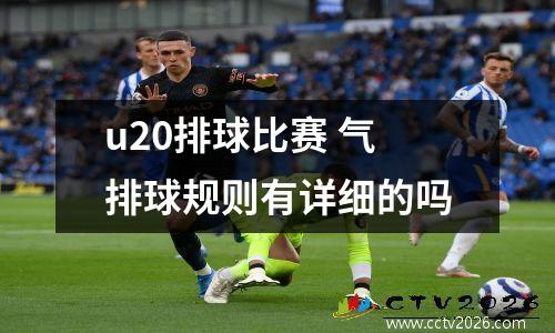 u20排球比赛 气排球规则有详细的吗