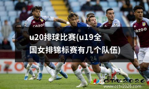 u20排球比赛(u19全国女排锦标赛有几个队伍)