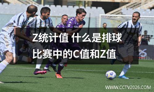 Z统计值 什么是排球比赛中的C值和Z值