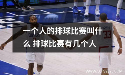 一个人的排球比赛叫什么 排球比赛有几个人