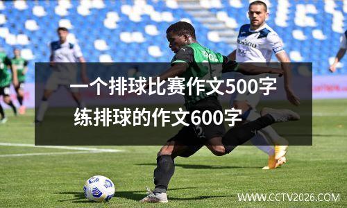 一个排球比赛作文500字 练排球的作文600字