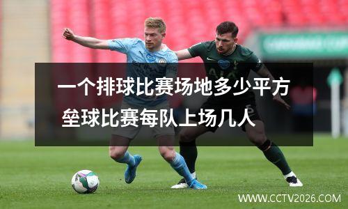 一个排球比赛场地多少平方 垒球比赛每队上场几人