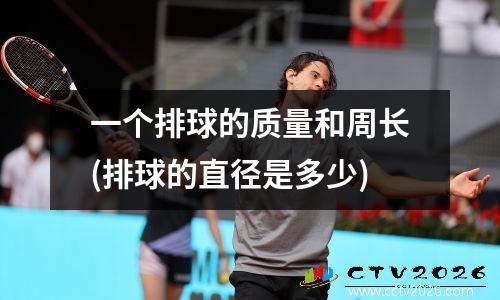 一个排球的质量和周长(排球的直径是多少)