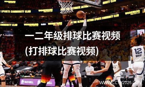 一二年级排球比赛视频(打排球比赛视频)