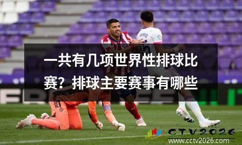 一共有几项世界性排球比赛？排球主要赛事有哪些
