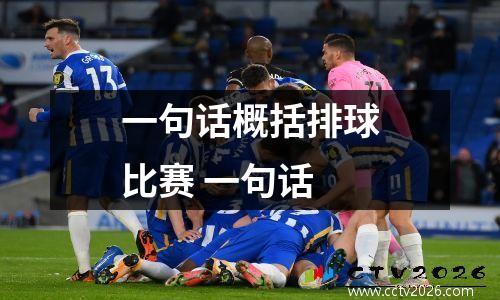 一句话概括排球比赛 一句话