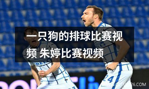 一只狗的排球比赛视频 朱婷比赛视频