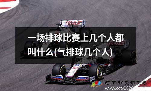 一场排球比赛上几个人都叫什么(气排球几个人)