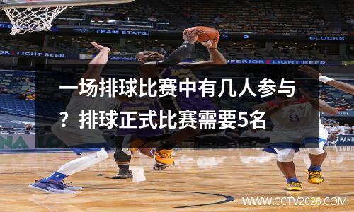 一场排球比赛中有几人参与？排球正式比赛需要5名