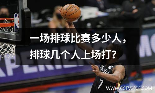 一场排球比赛多少人，排球几个人上场打？