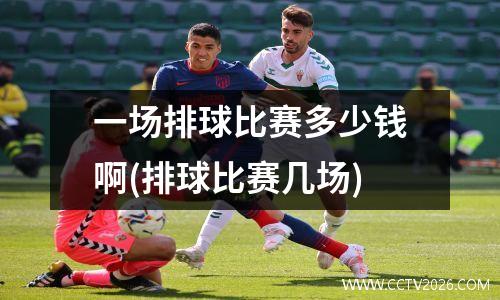 一场排球比赛多少钱啊(排球比赛几场)