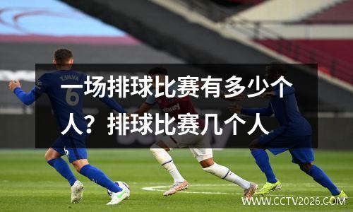 一场排球比赛有多少个人？排球比赛几个人