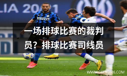 一场排球比赛的裁判员？排球比赛司线员