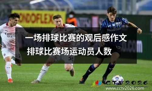 一场排球比赛的观后感作文 排球比赛场运动员人数