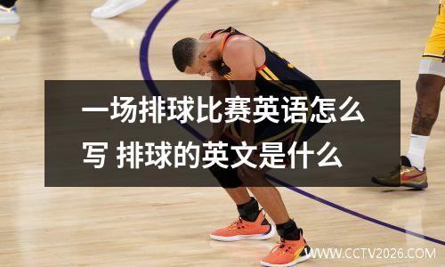 一场排球比赛英语怎么写 排球的英文是什么