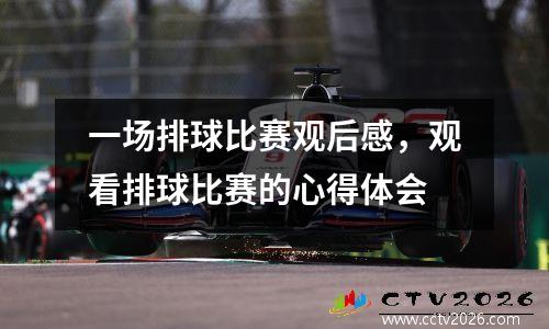 一场排球比赛观后感，观看排球比赛的心得体会
